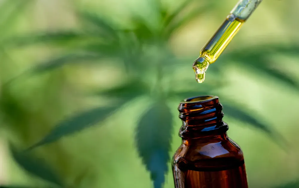 cbd (1)